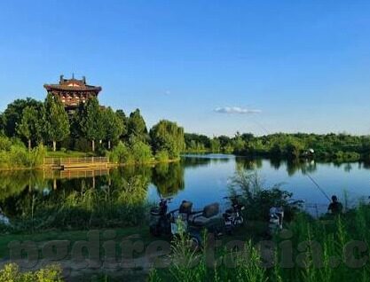球琛比分足球比分90-深度揭秘，球琛比分如何成为足球迷的90分钟情报站？