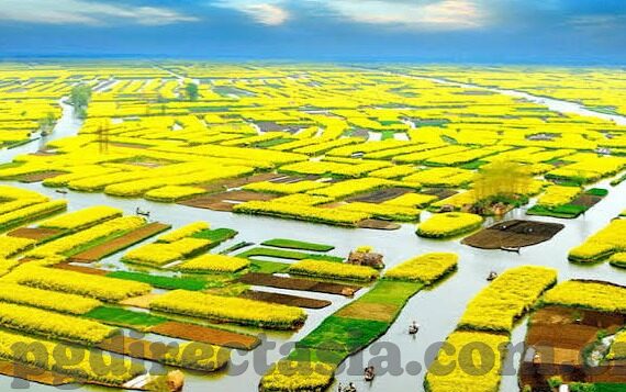 泰国对巴林足球比分-泰国与巴林足球对决，比分背后的战术博弈与体育精神