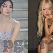 缘园足球比分-揭秘缘园足球比分，足球迷的必备神器与背后的数据江湖