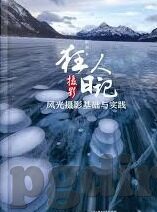 足球比分表格-足球比分表格,数据背后的战术博弈与情感风暴