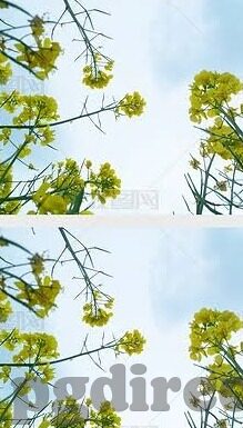 足球竞猜比分算法-足球竞猜比分算法，解码绿茵场上的数字博弈