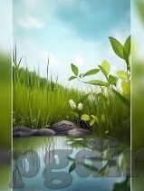 足球联赛比分-足球联赛比分，绿茵场上的数字密码与激情交响