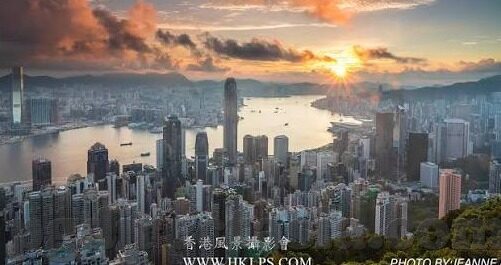 足球现场即时比分-足球现场即时比分，绿茵场上的心跳同步仪