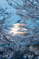 足球昨天的比赛比分-昨夜绿茵烽火，五大联赛焦点战比分全解析与深度复盘